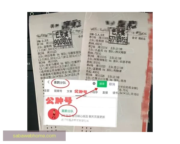 权威体育竞猜官网全面解析最新赛事赔率与投注技巧